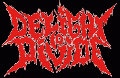 logo Delight To Divide